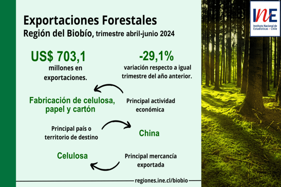 Exportaciones forestales en la Región del Biobío durante el trimestre abril-junio 2024.