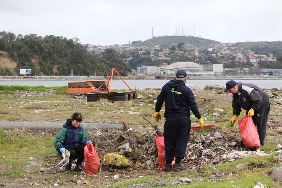 Limpieza en la Playa Rocuant en Talcahuno.