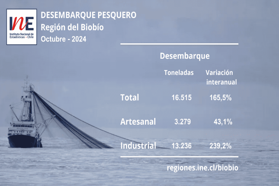 Infografía de desembarque pesquero en octubre 2024 en la Región del Biobío.